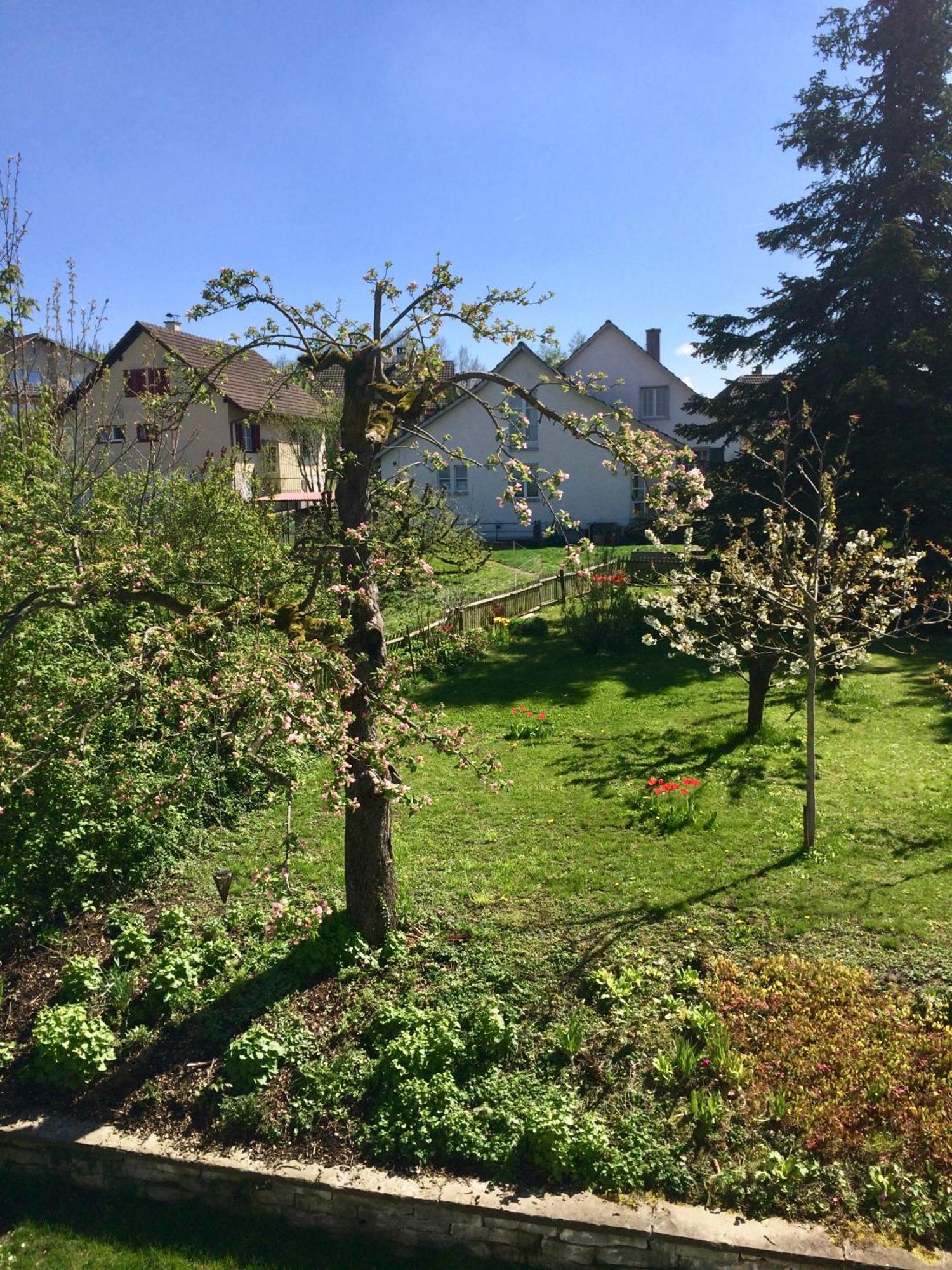 Guntli'S Family Guesthouse Andelfingen Exterior photo