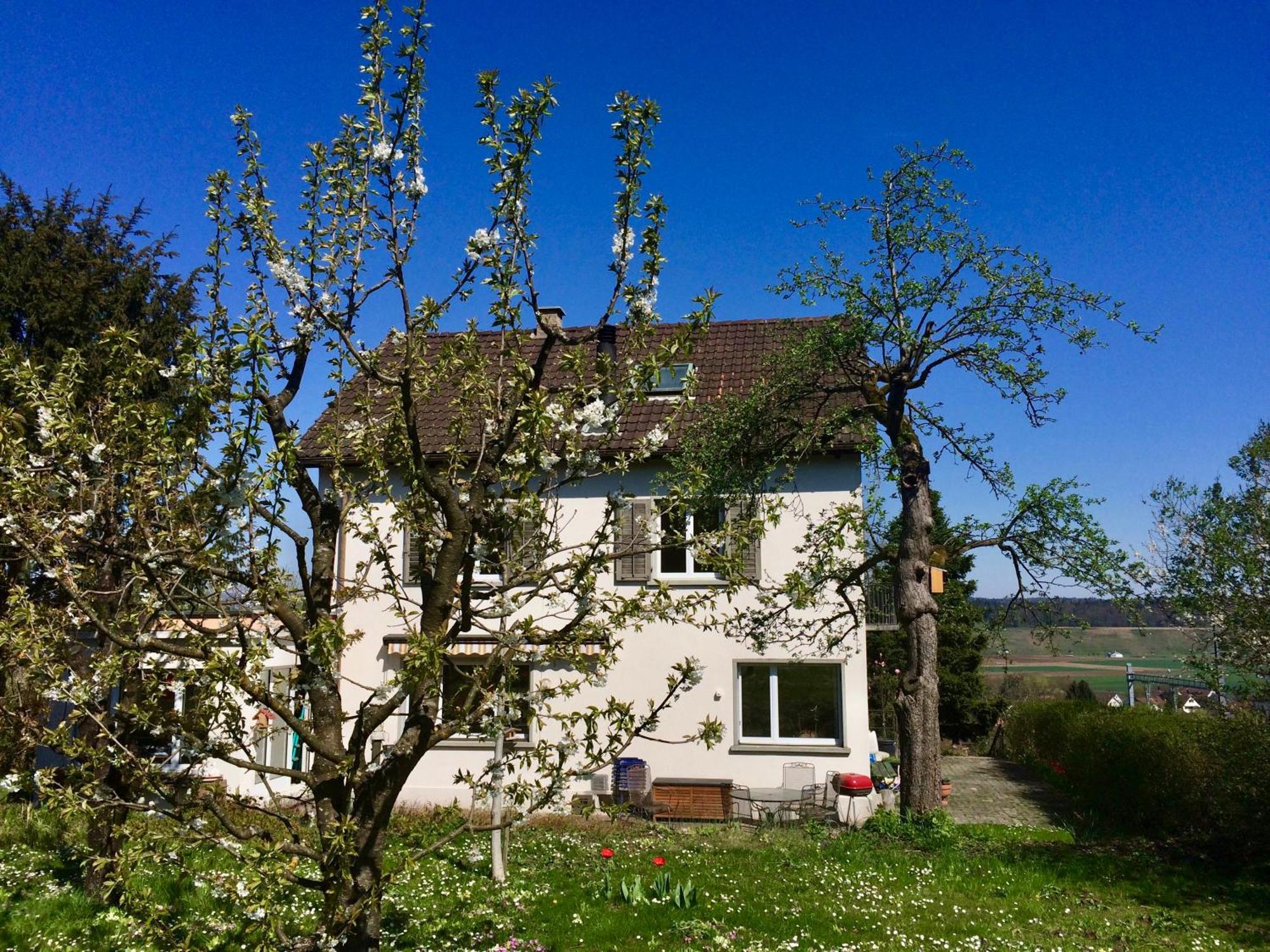 Guntli'S Family Guesthouse Andelfingen Exterior photo
