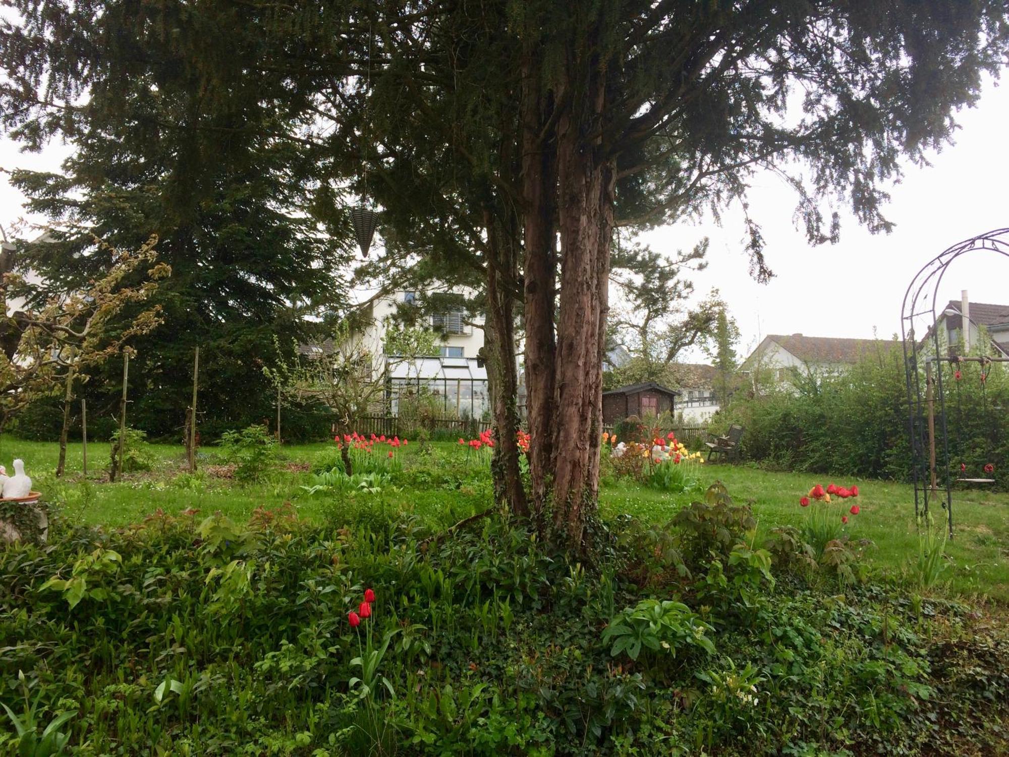 Guntli'S Family Guesthouse Andelfingen Exterior photo